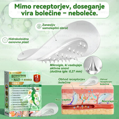 🔥BSWELL® Nano mikroneedling shujševalni obliž (Samo enkrat na dan, vidne spremembe v 28 dneh)  ✅ Za debelost, zdravje srca in ožilja, sladkorno bolezen, spalno apnejo, zdravje črevesja, težave s sklepi in še več.