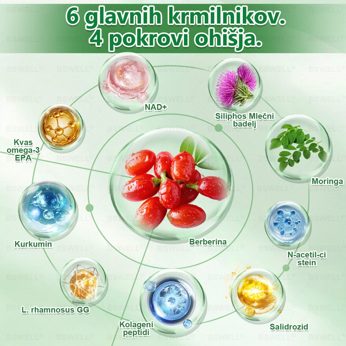 🔥BSWELL® Nano mikroneedling shujševalni obliž (Samo enkrat na dan, vidne spremembe v 28 dneh)  ✅ Za debelost, zdravje srca in ožilja, sladkorno bolezen, spalno apnejo, zdravje črevesja, težave s sklepi in še več.